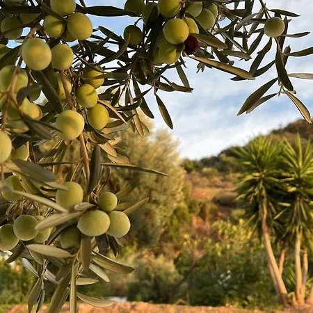 Glamping Almendros * Málaga