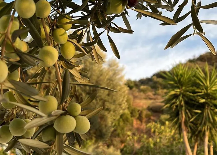 Glamping Almendros * Μάλαγα